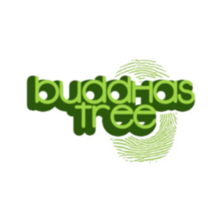 Buddhas Tree logo