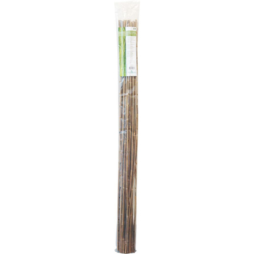 bamboos5ft 1