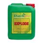 dutch-pro-explode5L 1