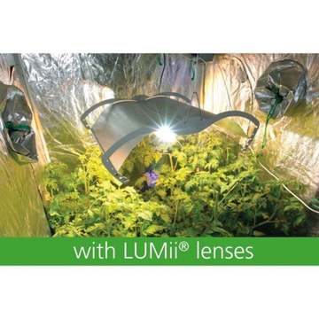 lumii-growroom-lenses-p591-3543_zoom 3