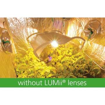 lumii-growroom-lenses-p591-3544_zoom 4